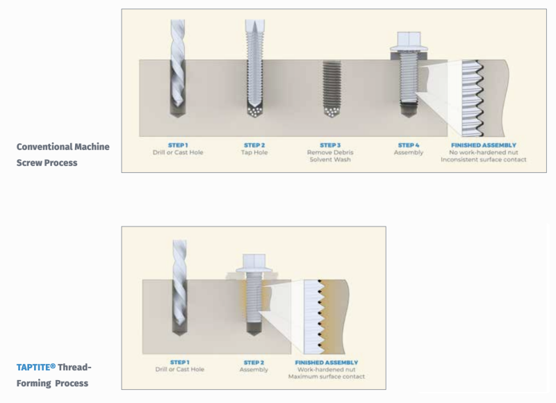 Trilobular Process